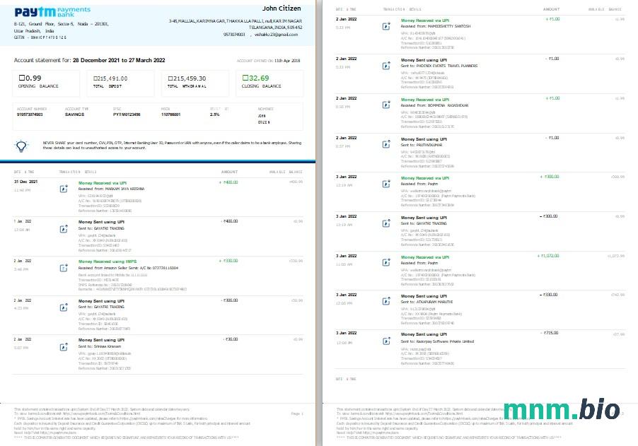 Szablon wyciągu bankowego w Indiach Paytm, format Word i PDF, 2 strony, Wersja 2